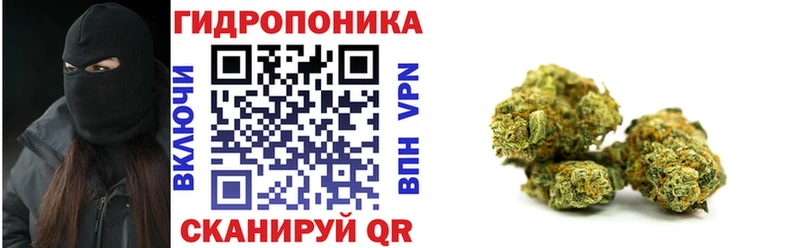 Каннабис планчик Екатеринбург